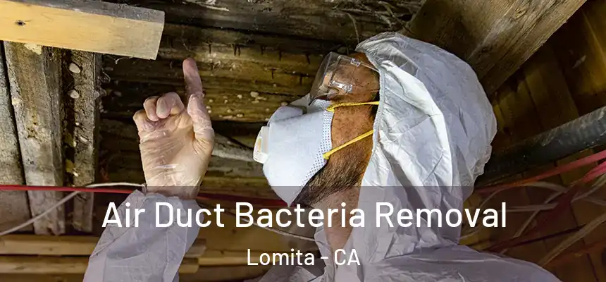  Air Duct Bacteria Removal Lomita - CA