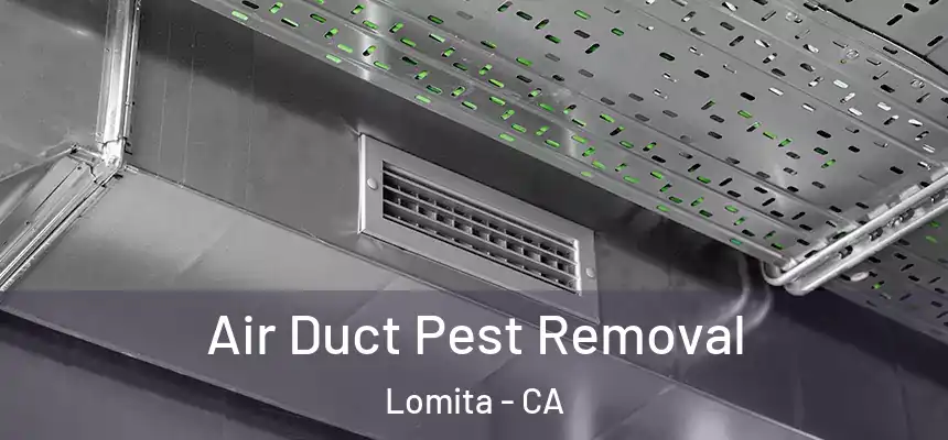 Air Duct Pest Removal Lomita - CA