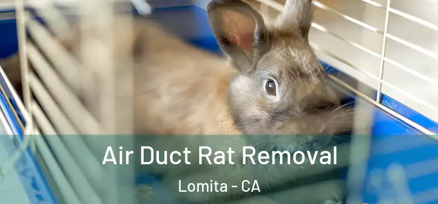  Air Duct Rat Removal Lomita - CA