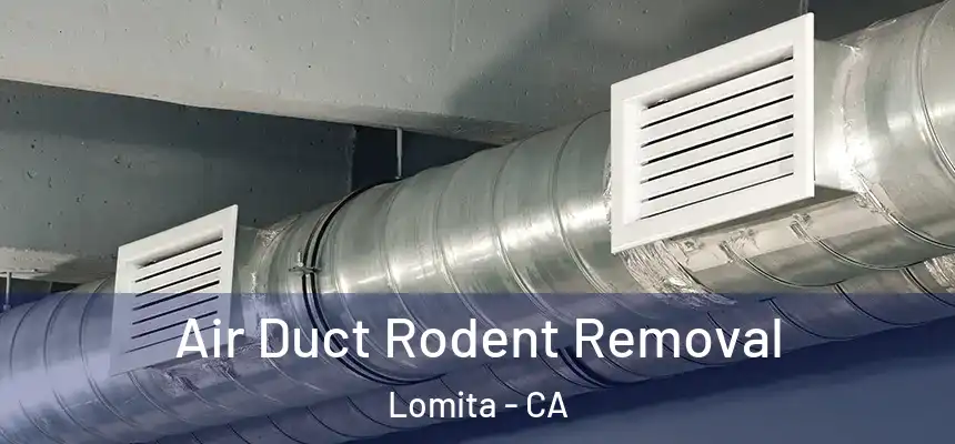  Air Duct Rodent Removal Lomita - CA