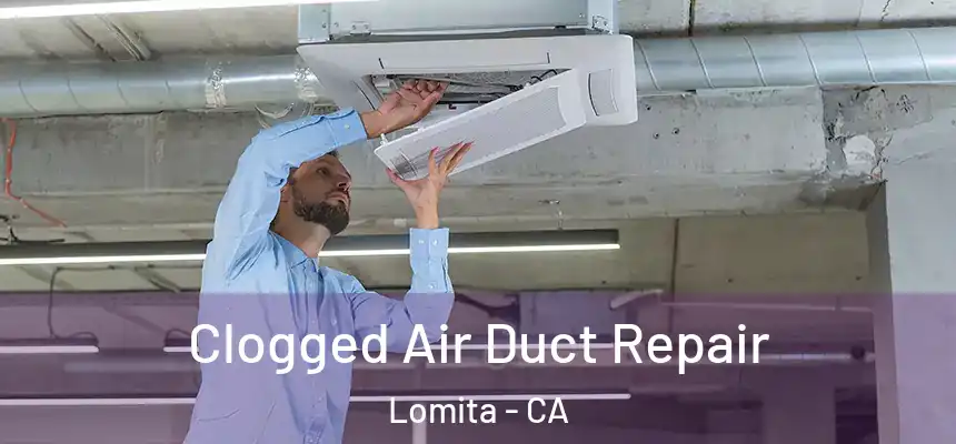  Clogged Air Duct Repair Lomita - CA