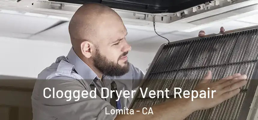  Clogged Dryer Vent Repair Lomita - CA