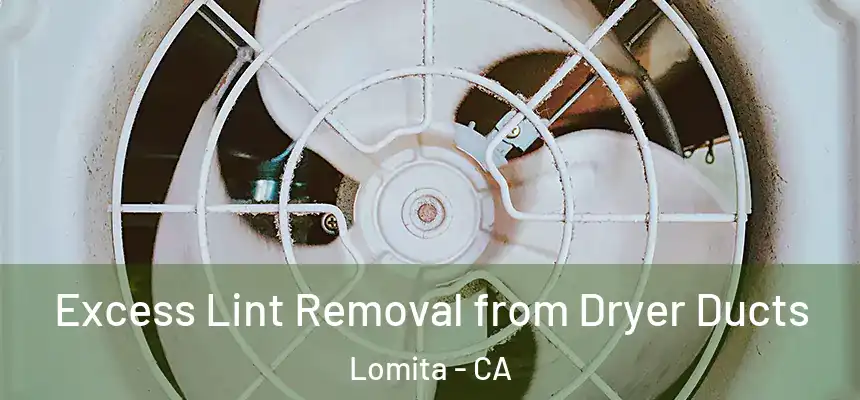  Excess Lint Removal from Dryer Ducts Lomita - CA