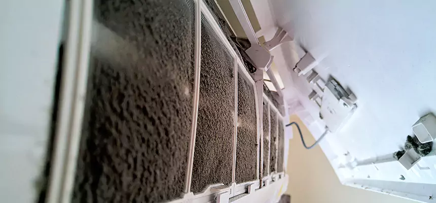 Preventive Air Duct Bacteria Removal in Lomita