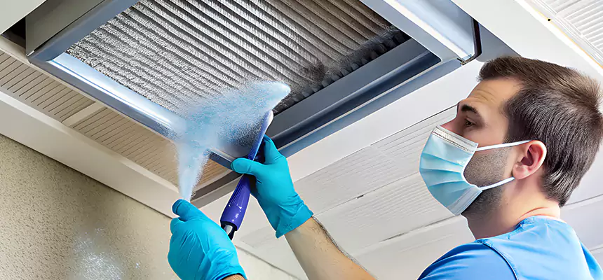 Proactive Dryer Vent & Auxiliary Duct Pollen Cleanup in Lomita, CA