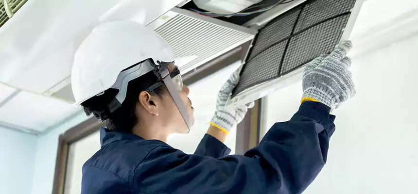 Our Mold & Mildew Removal from Air Ducts Services in Lomita, CA