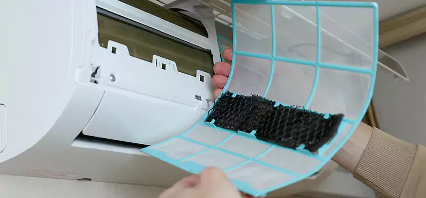 Gentle Ductwork Odor-Control Pet Dander Duct Cleaning in Lomita, CA