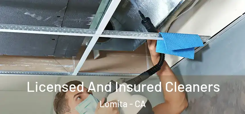  Licensed And Insured Cleaners Lomita - CA