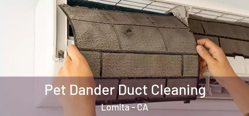  Pet Dander Duct Cleaning Lomita - CA