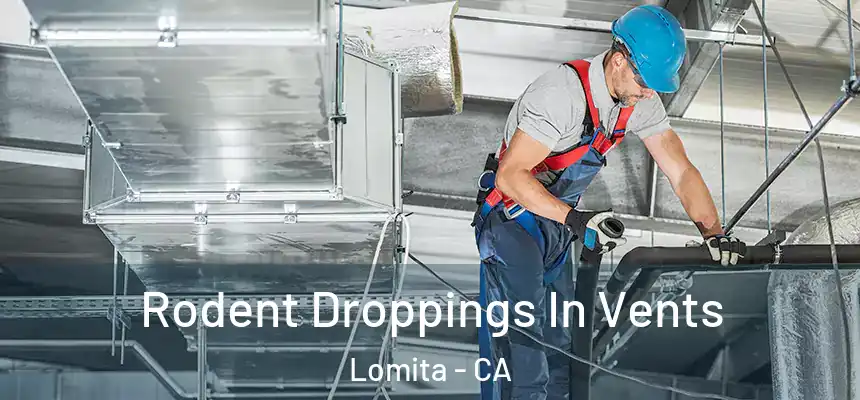  Rodent Droppings In Vents Lomita - CA