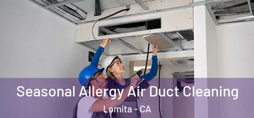  Seasonal Allergy Air Duct Cleaning Lomita - CA