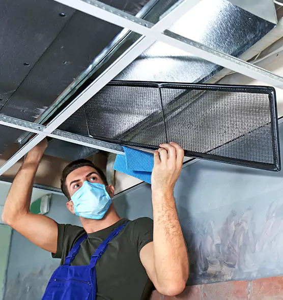 About Air Duct Bacteria Removal in Lomita