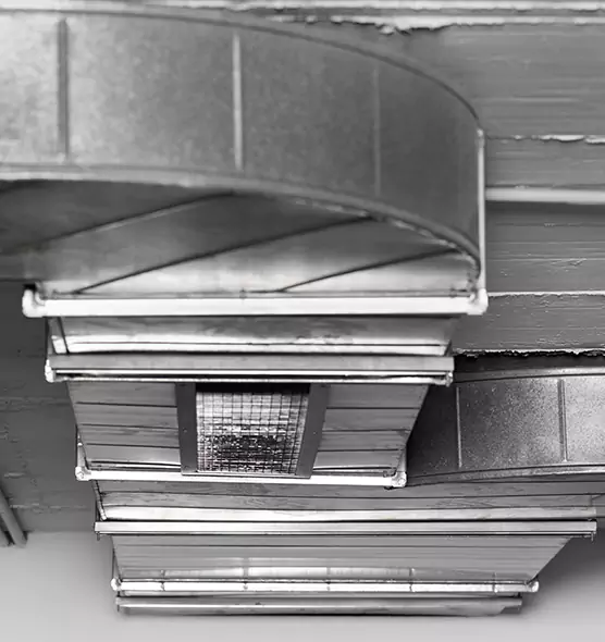 Professional Air Duct Pet Hair Removal in Lomita, CA