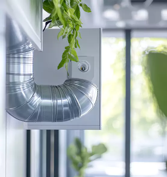 Professional Eco-Safe Dryer Vent Cleaning in Lomita, CA