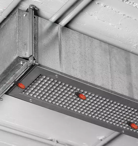 Affordable Insect Removal from Air Ducts in Lomita, CA
