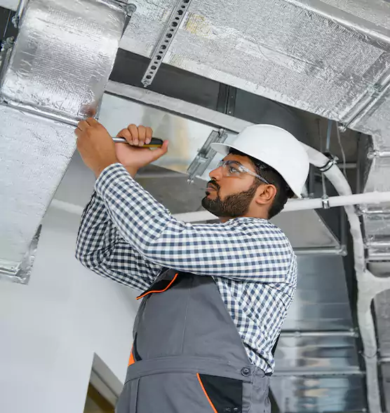 Welcome to Mold & Mildew Removal from Air Ducts Lomita, CA