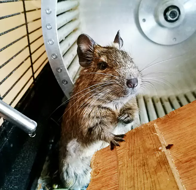 Why Homeowners & Businesses Trust Us Lomita, CA