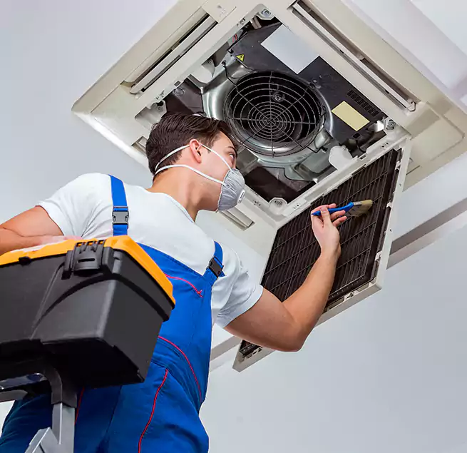 Why Homeowners & Businesses Trust Us in Lomita, CA