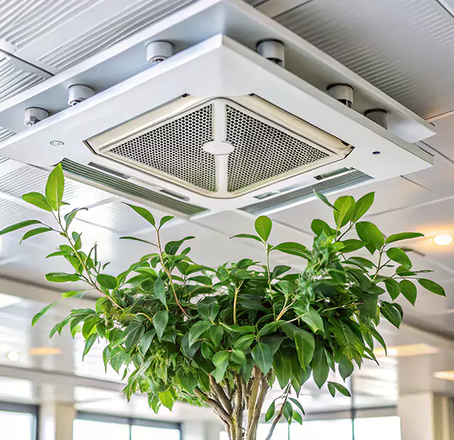 Why Homeowners & Businesses Trust Us in Lomita, CA?