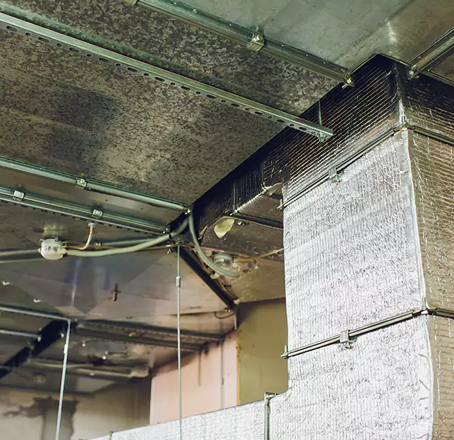 Why Homeowners & Businesses Trust Us in Lomita, CA?