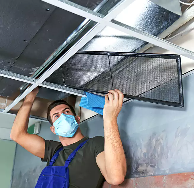 Why Homeowners Businesses Trust Us in Lomita, CA